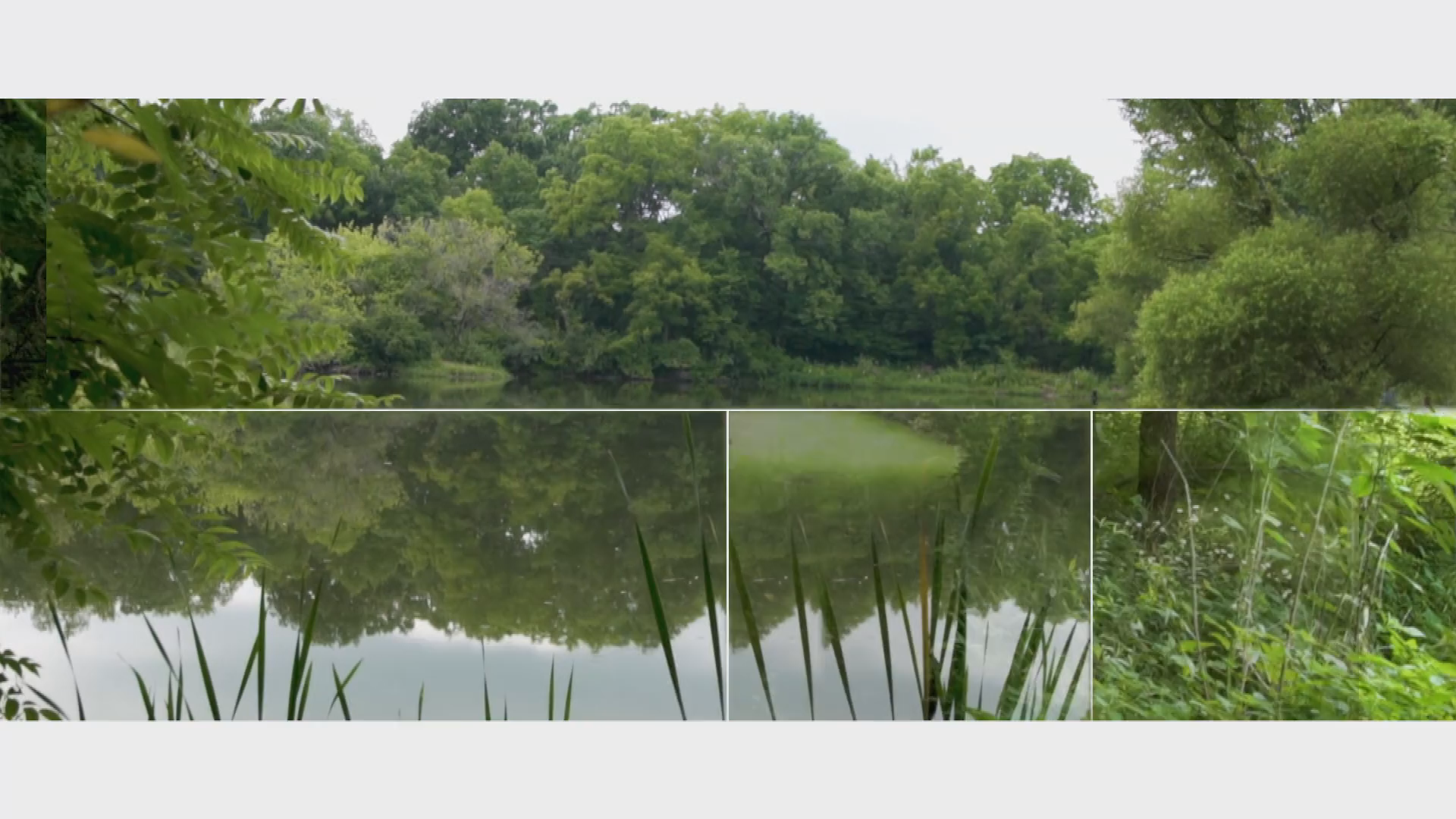 Champaign County Forest Preserve - Homer Lake